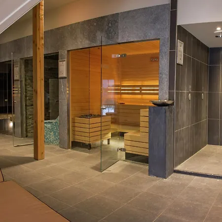 Modern With Sauna