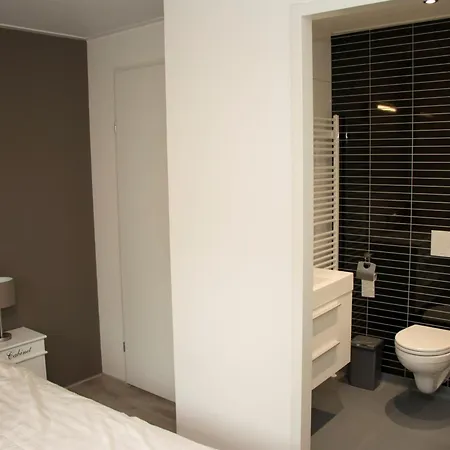 Modern With Sauna 别墅 *